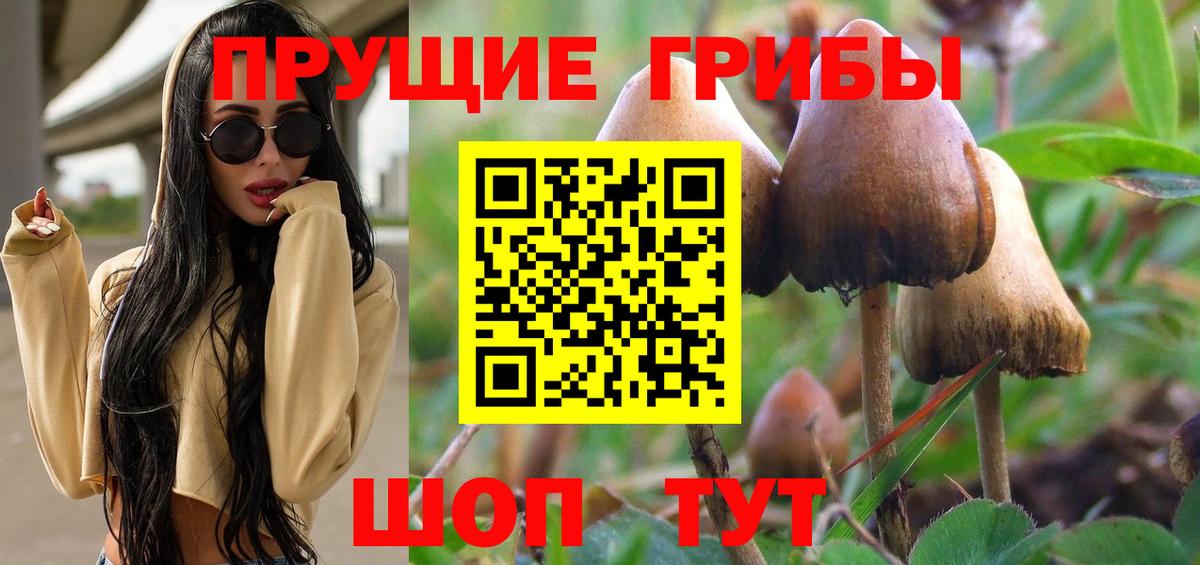 Псилоцибиновые грибы Psilocybine cubensis Мыски