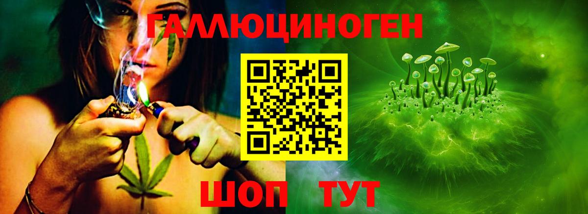 Псилоцибиновые грибы Psilocybine cubensis  Вход с VPN  Мыски 